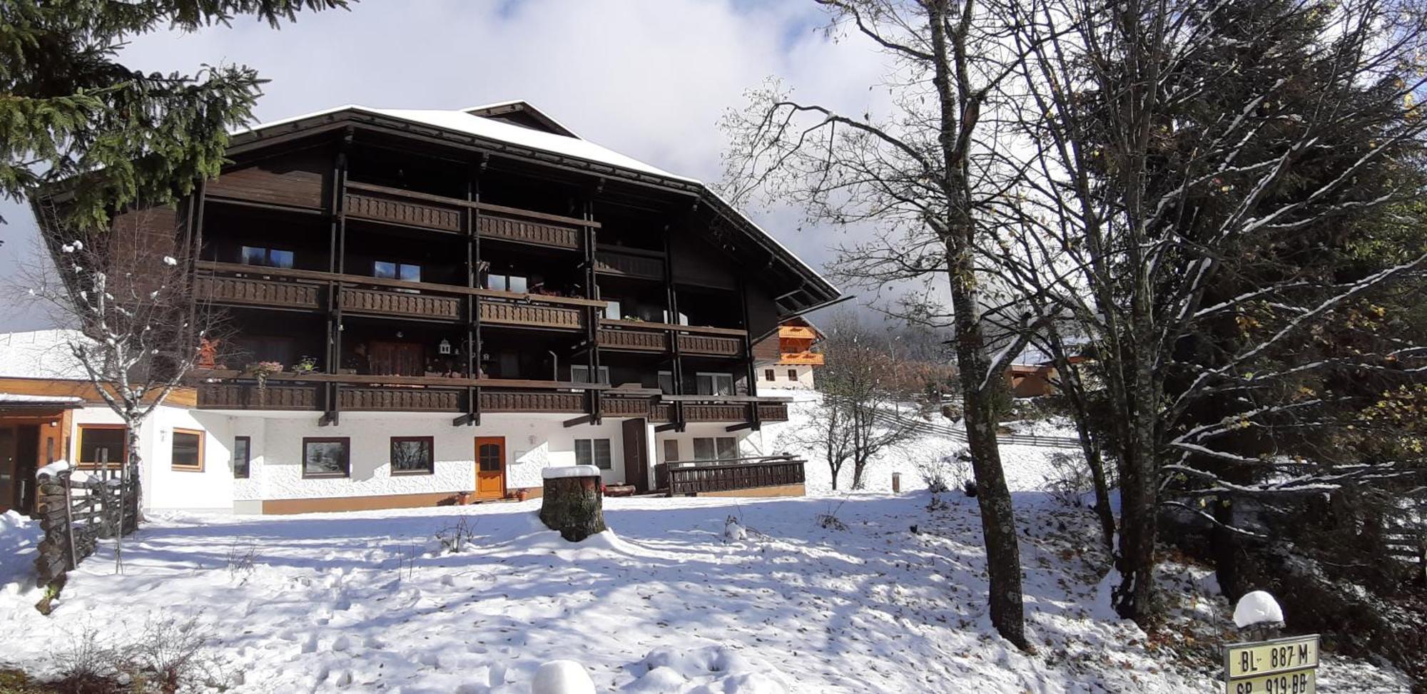 Fewo Brunnach By Isa Badkleinkirchheim Bad Kleinkirchheim Exteriér fotografie
